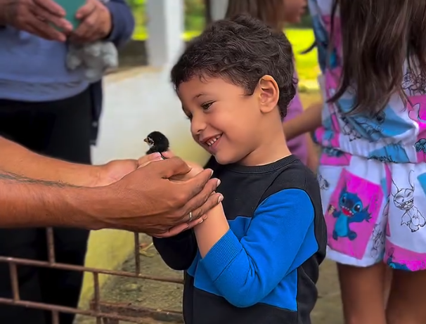 Natureza e Estrutura